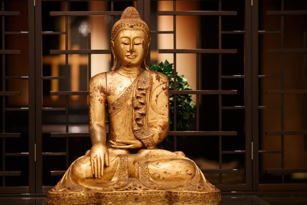 gold buddha statue near green plant