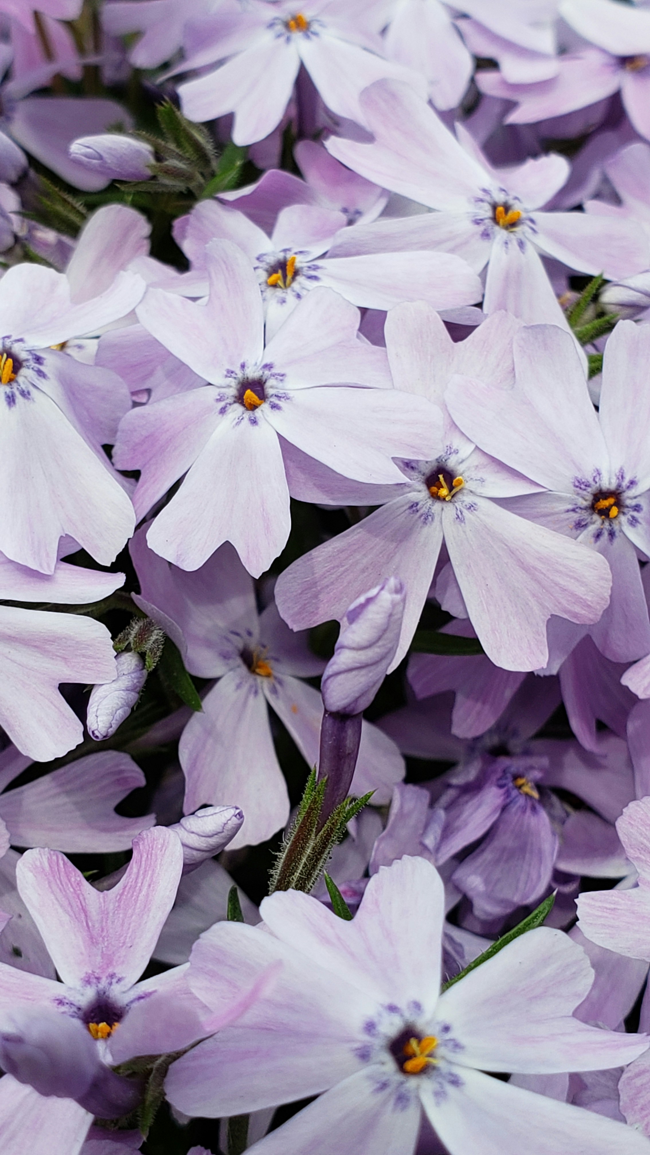 Photo by daveatjude3