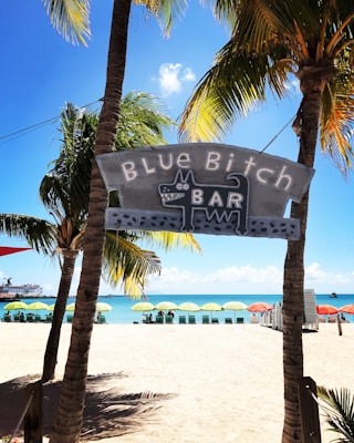 A beach setting with palm trees framing a sign that reads 'Blue Bitch Bar' featuring a stylized dog graphic. Below, the sandy beach meets the turquoise ocean, with a row of colorful umbrellas and lounge chairs. A cruise ship is visible in the distant water.