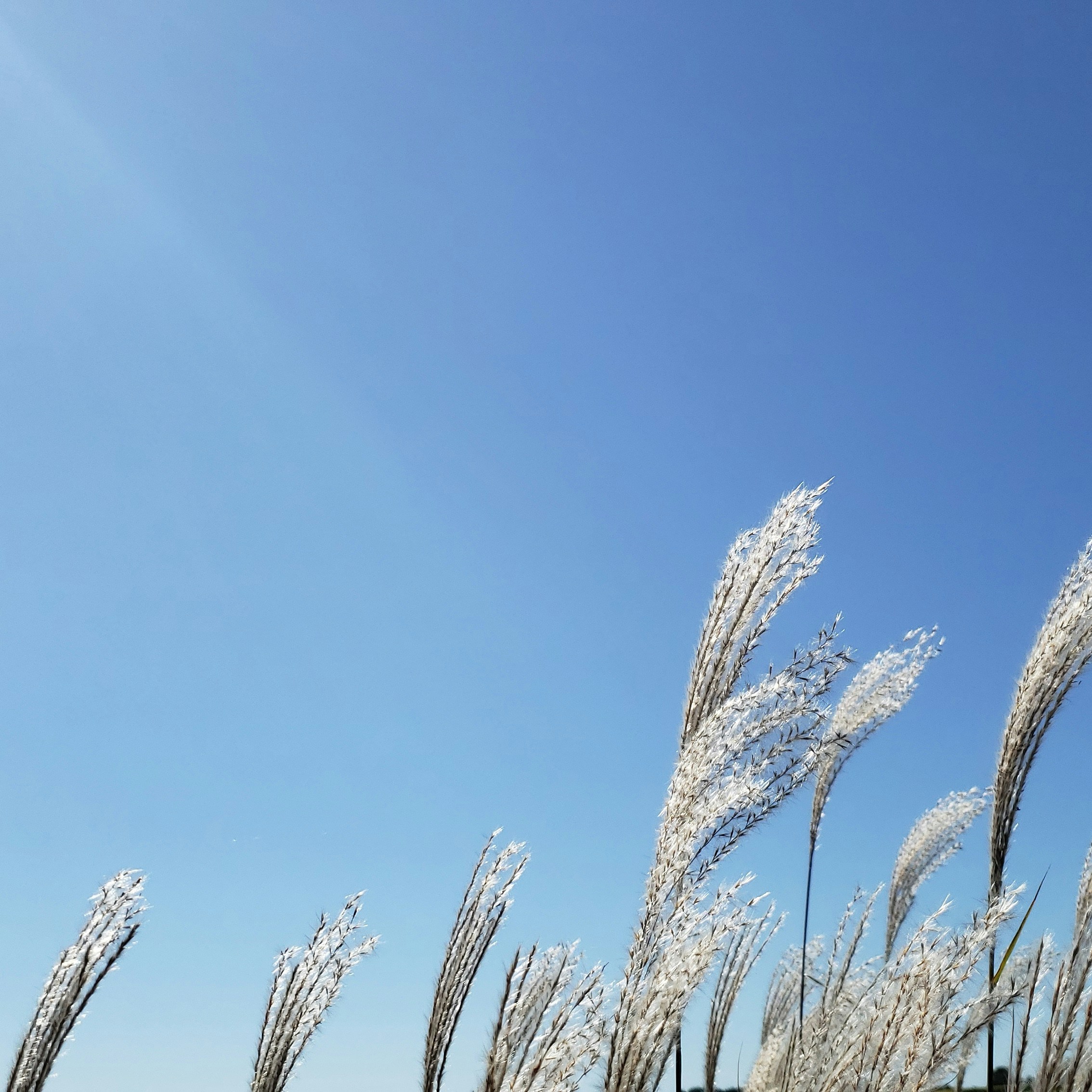 Photo by daveatjude3