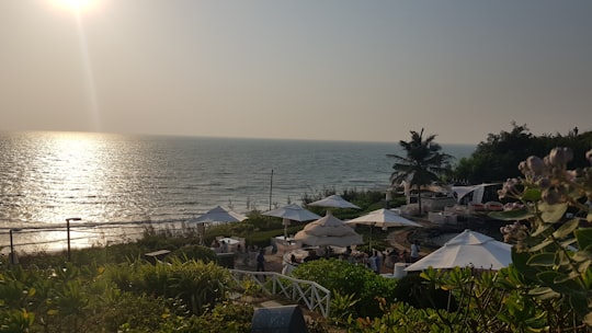 Vagator things to do in Anjuna