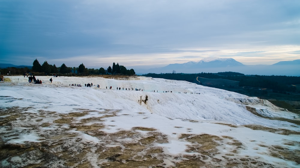 white snow covered field near green trees and mountain during daytime