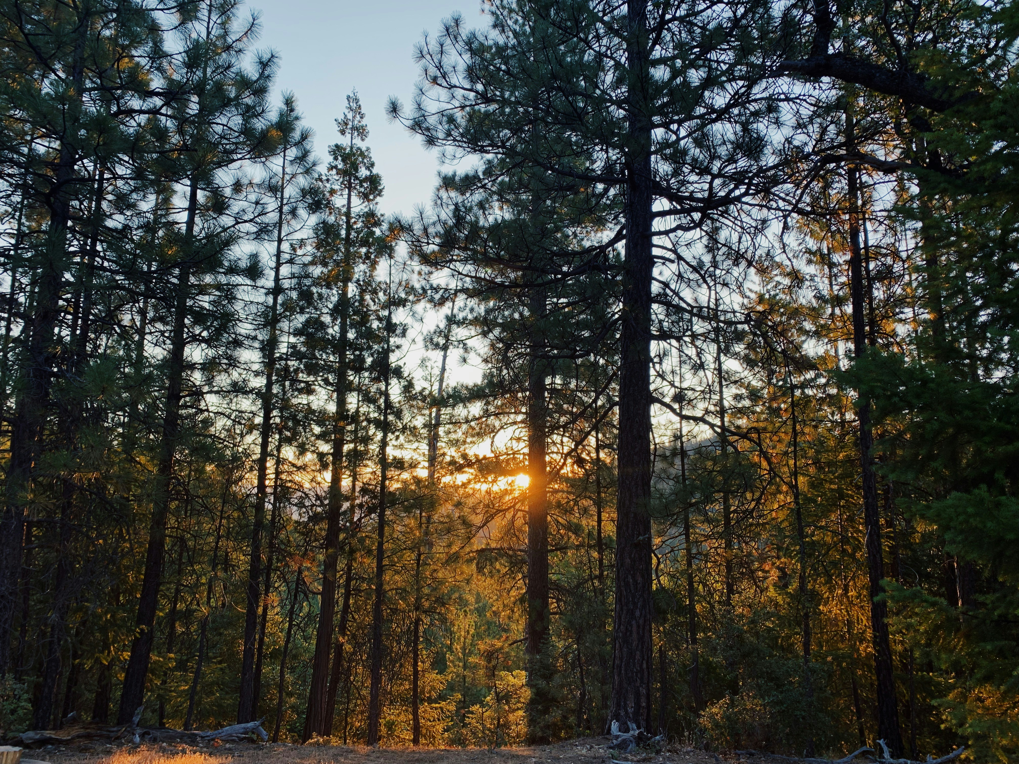 Photo by summerlakee