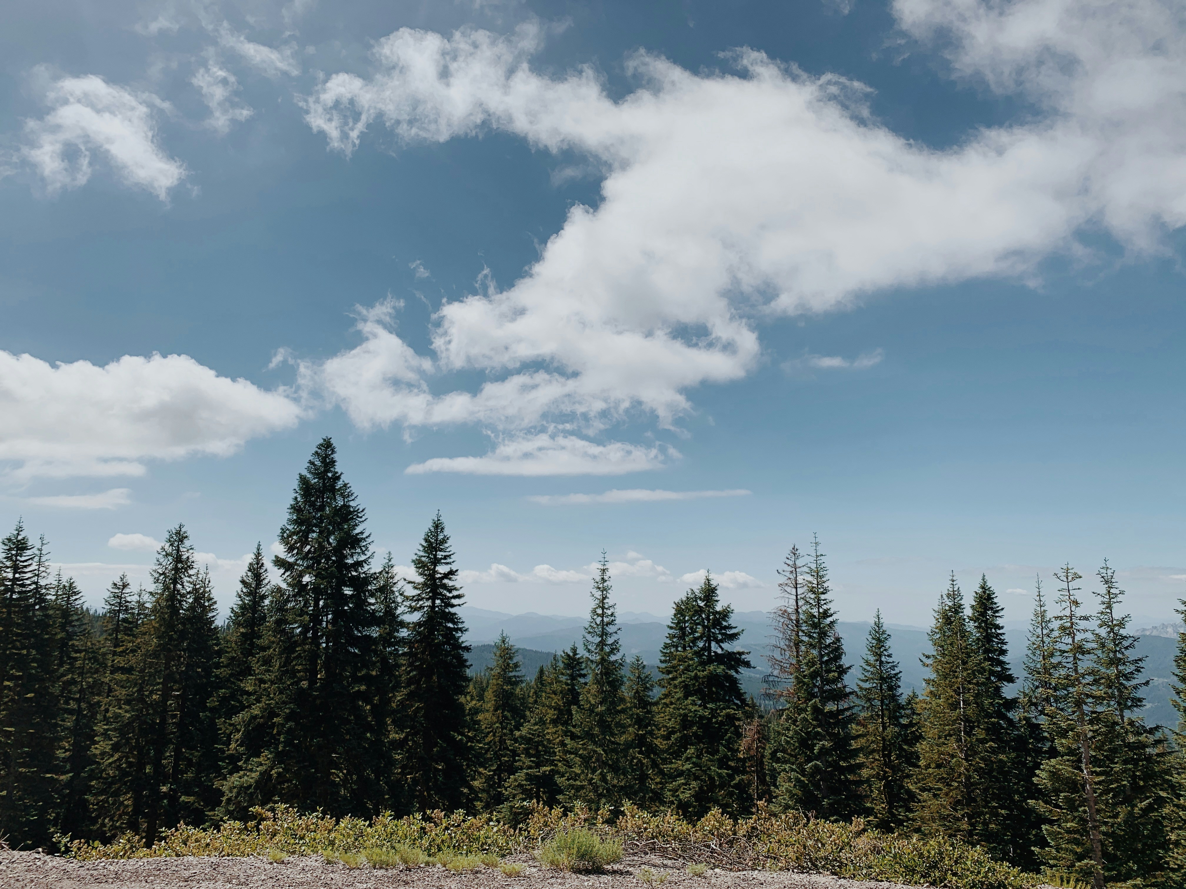 Photo by summerlakee