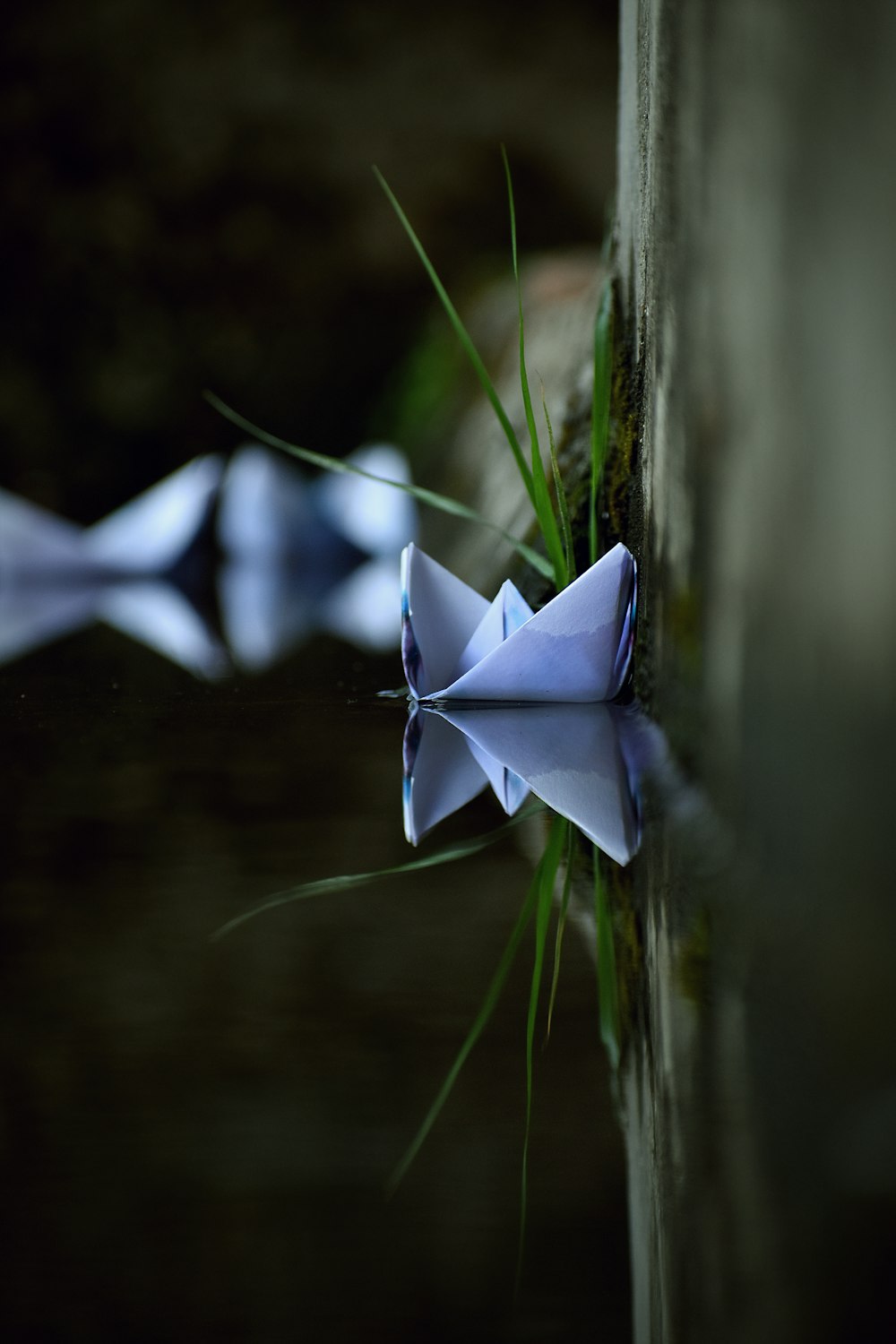 white and blue star origami