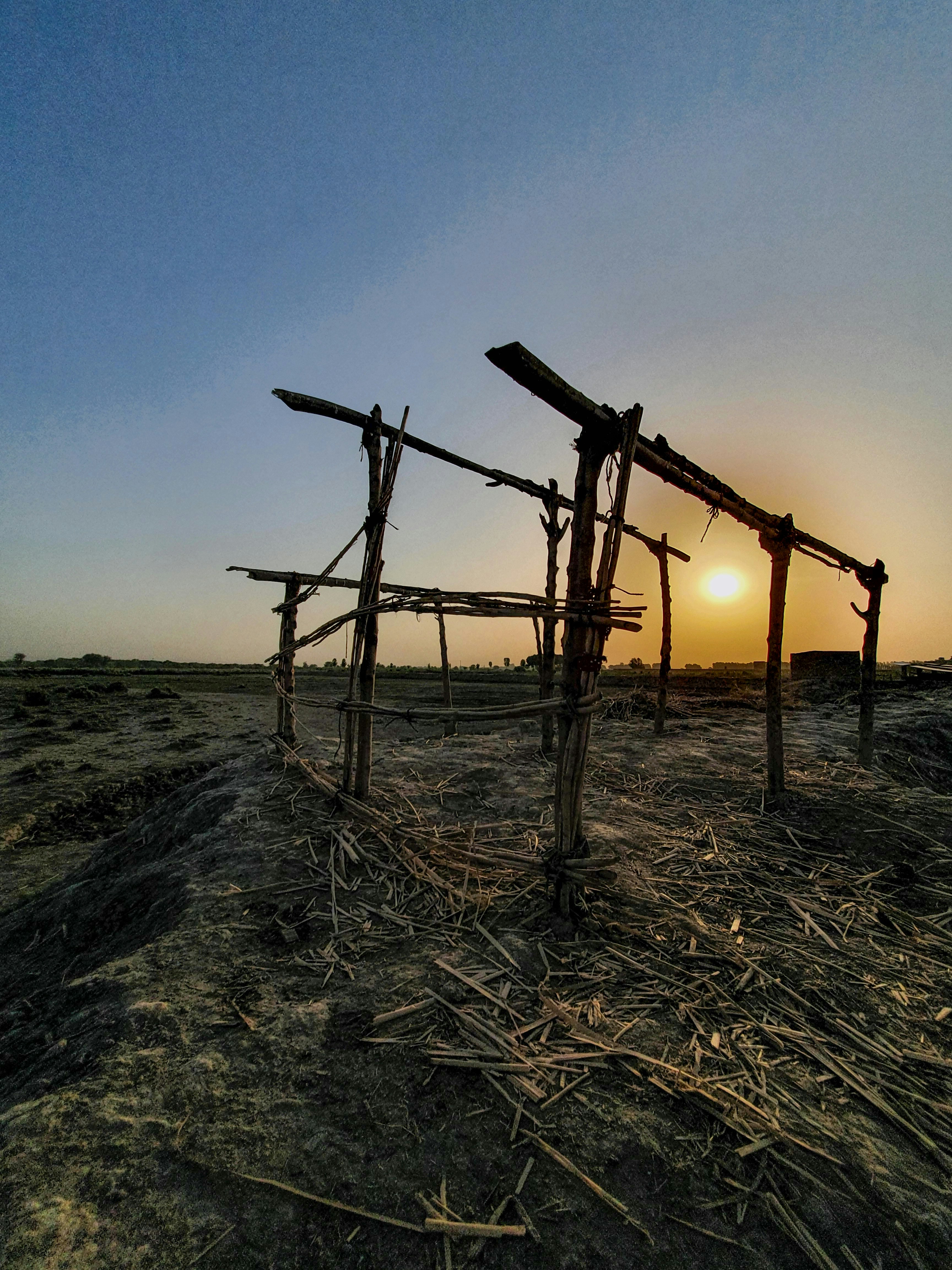 Photo by asi_abbasi