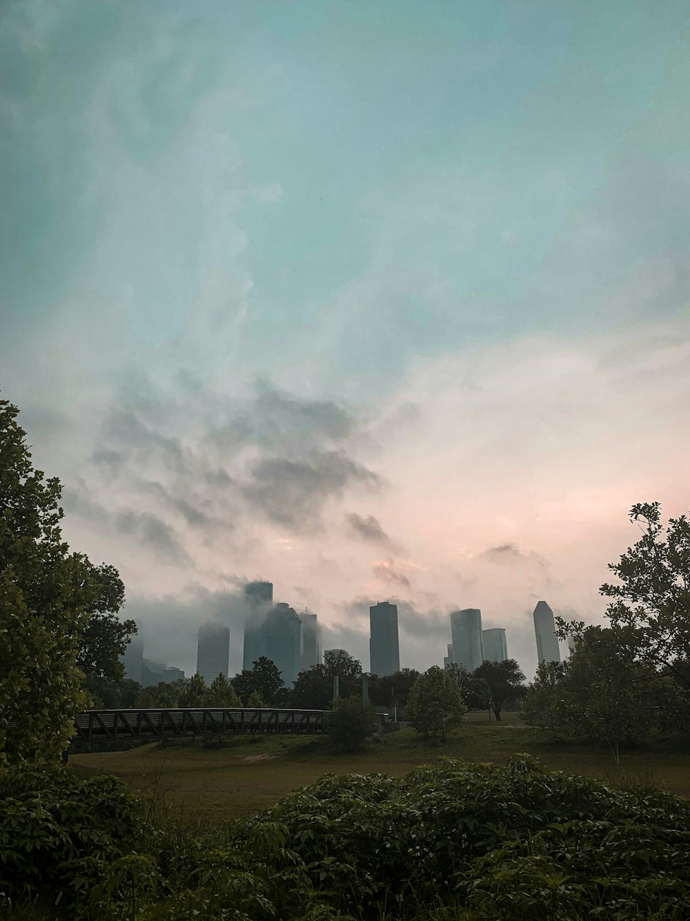 green trees near city buildings under white clouds during daytime