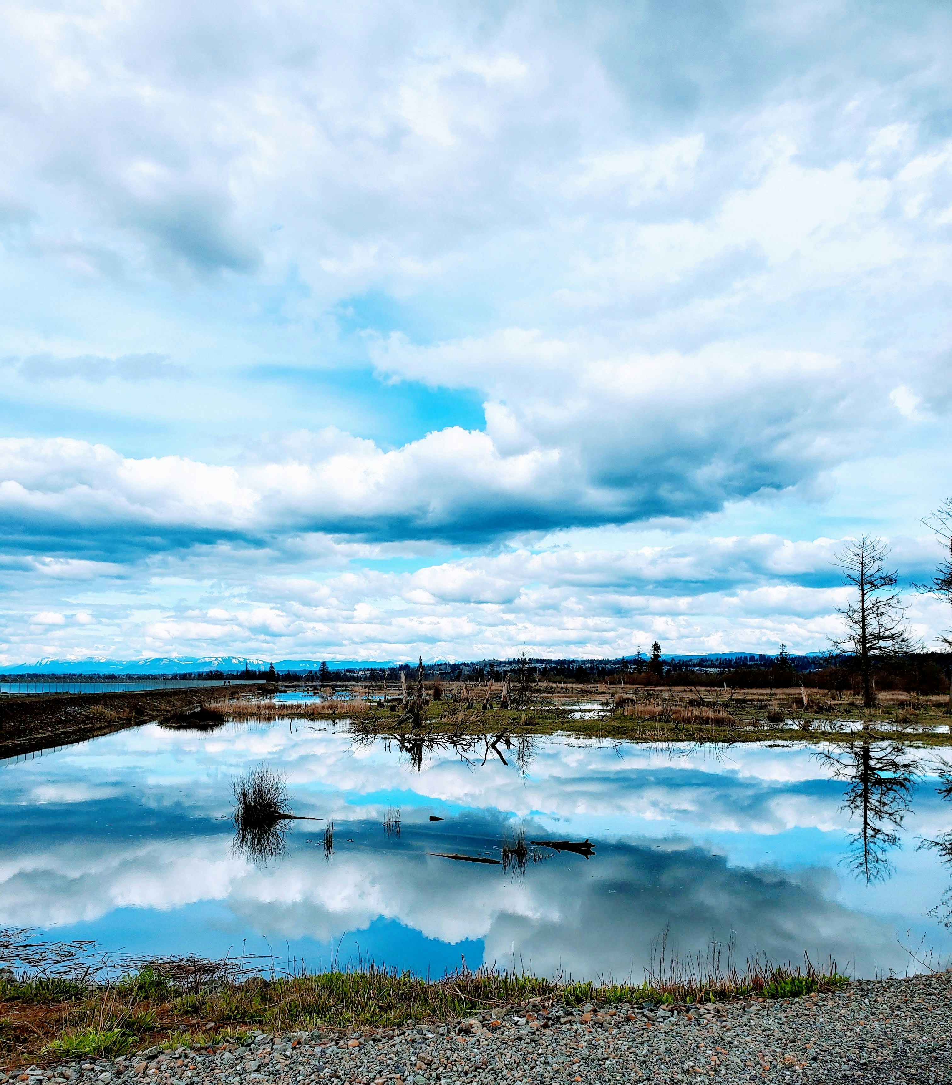 Photo by pdeck688