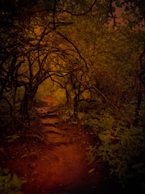 A dimly lit forest path meanders through dense, intertwining branches and foliage. The ground is uneven, with visible roots and a reddish-brown earth, creating a sense of mystery and seclusion. The overhanging branches create a natural archway, enhancing the enclosed and shadowy atmosphere of the woodland scene.