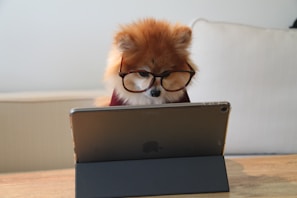 free aptitude tests