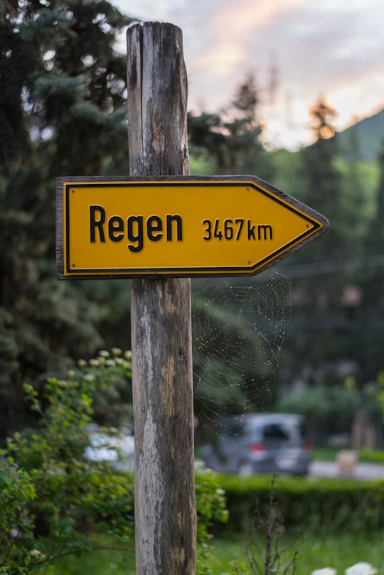 yellow and black no smoking sign in Ijevan Armenia