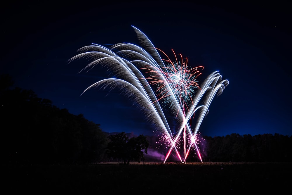 fireworks display during night time