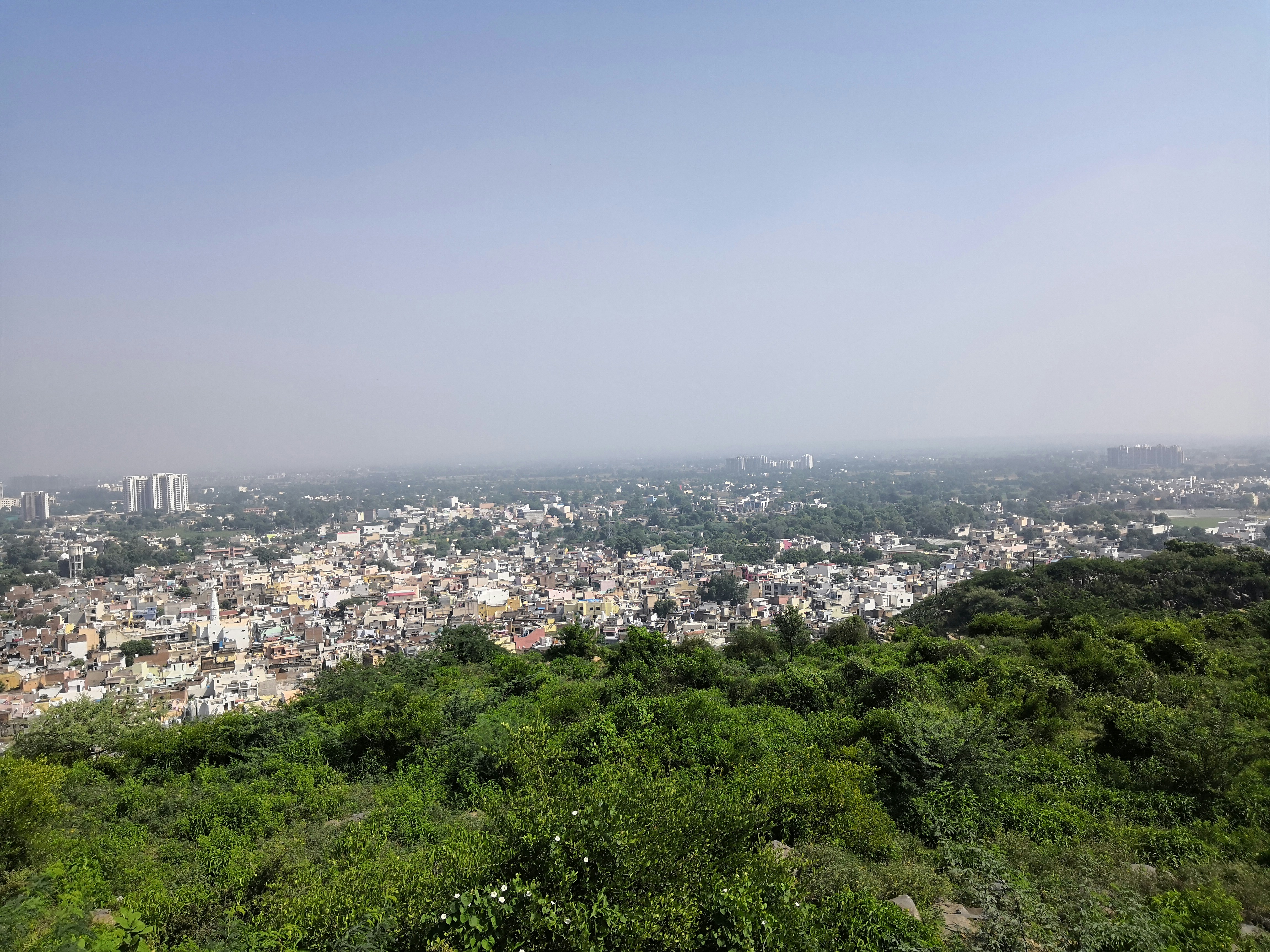 Photo by naturebyneha