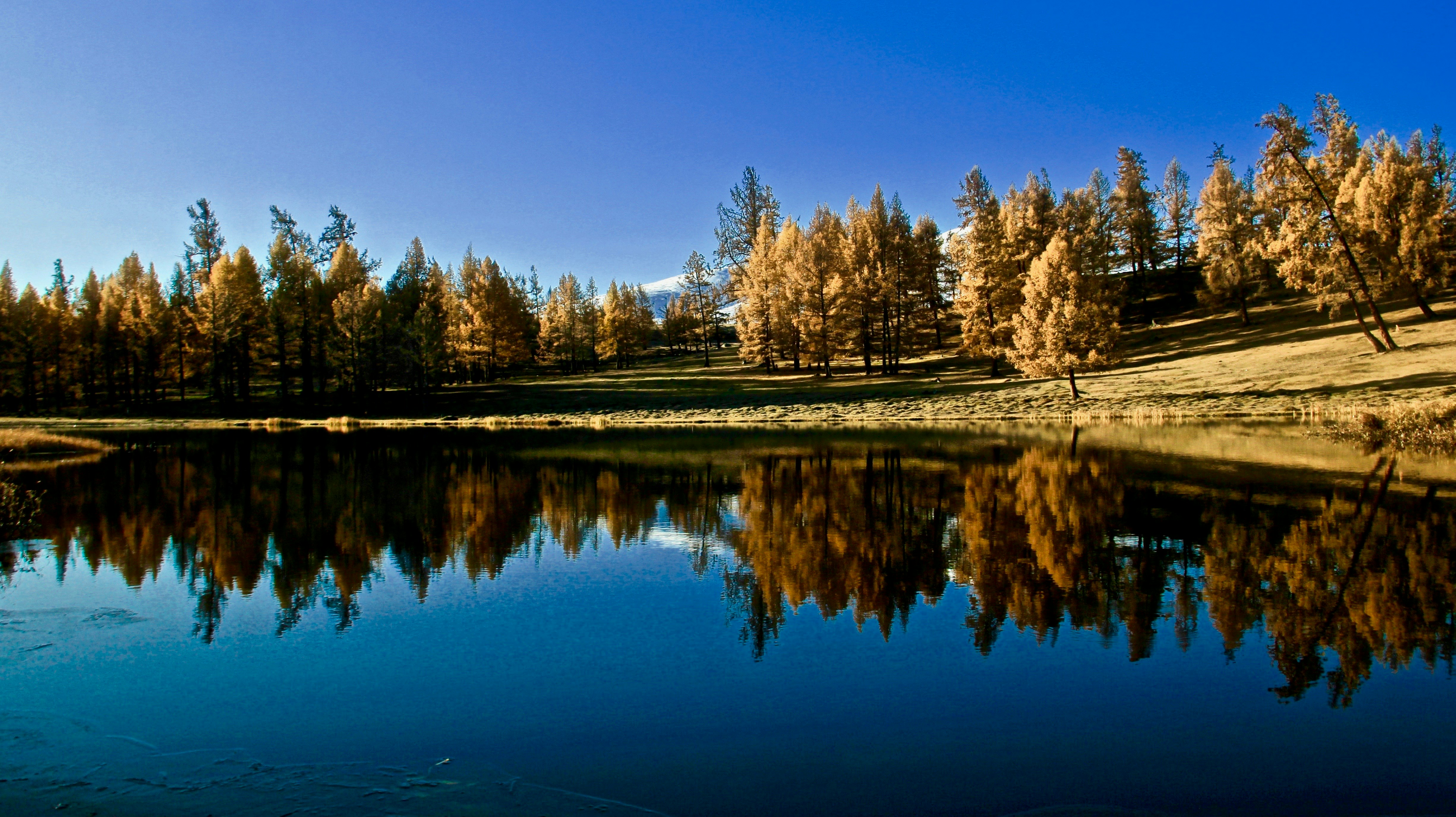 Photo by gabiden