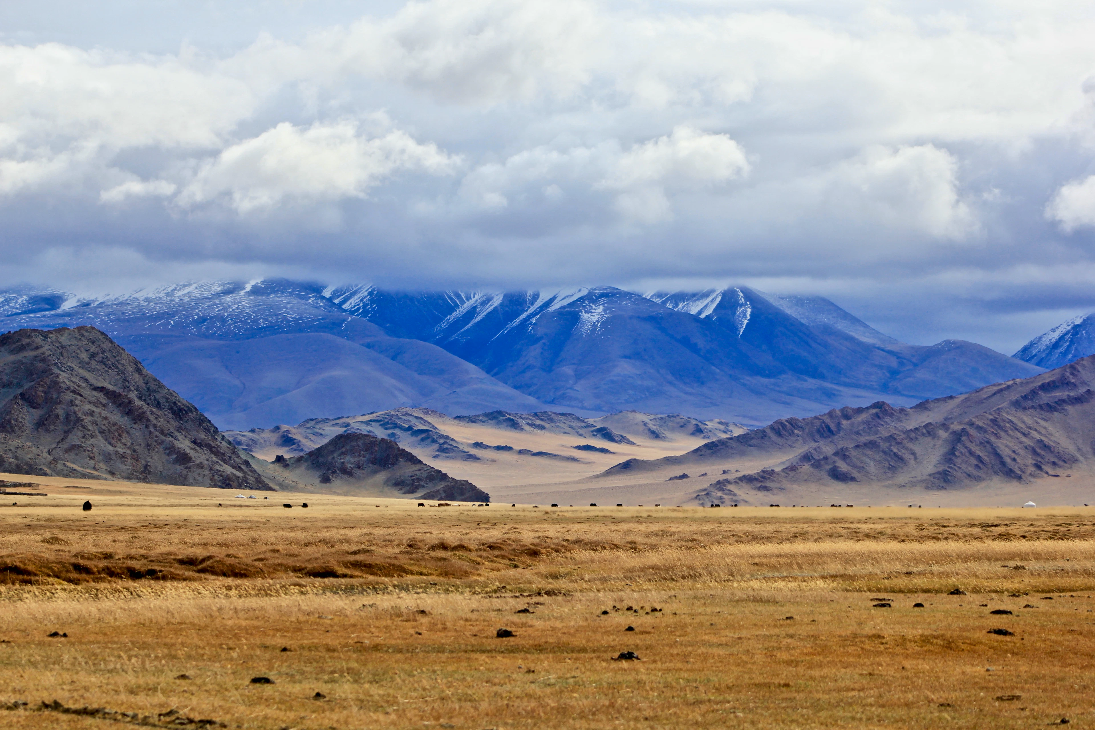Wide brown steppe running to blue snow-capped mountains