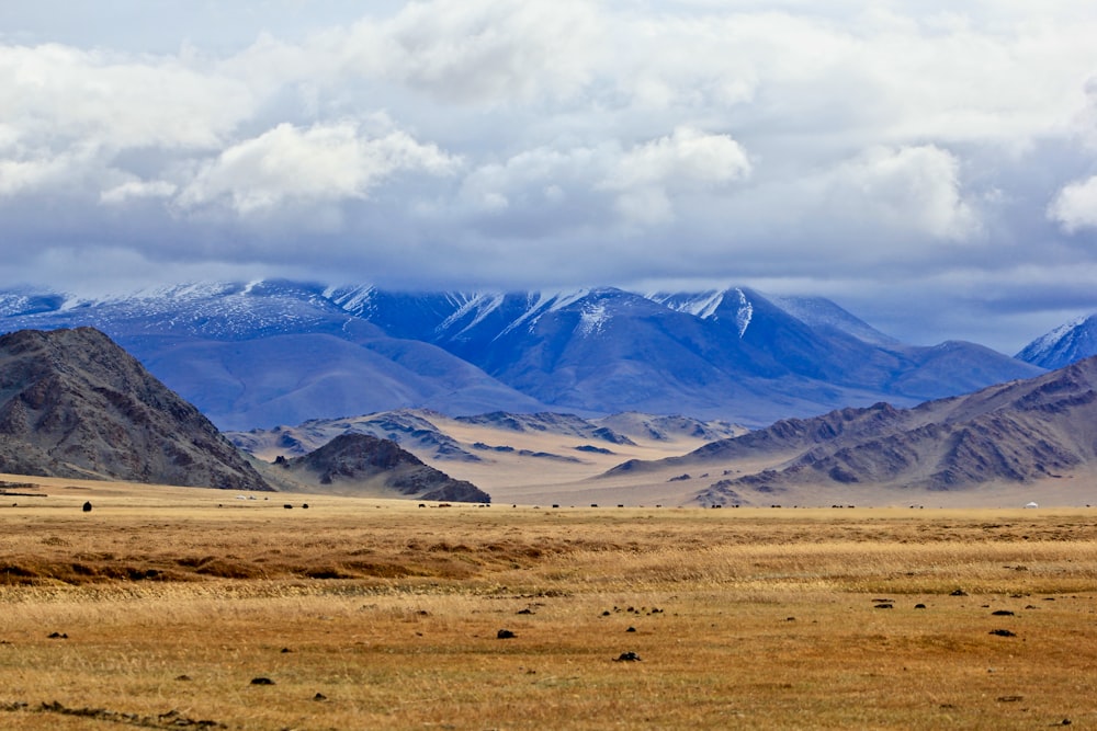 campo de grama marrom perto de montanhas cobertas de neve durante o dia