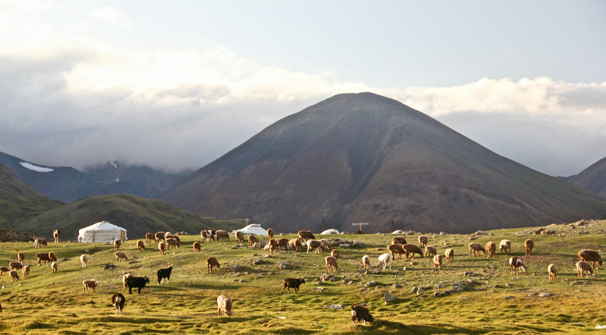 Best Times to Visit Mongolia: Weather, Seasons & Months