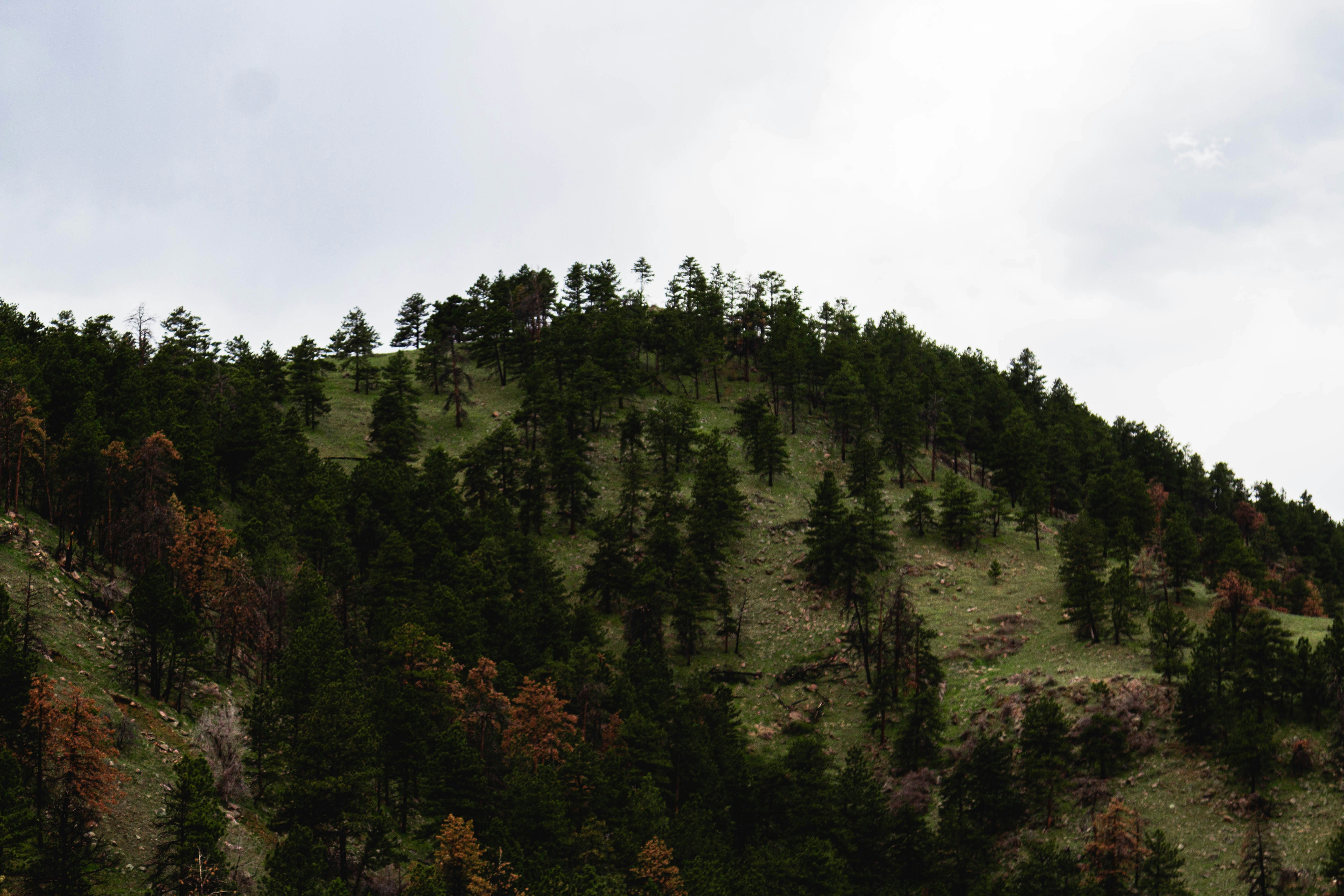 Photo by mason_hassoun