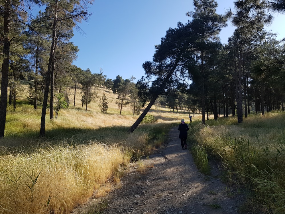 person in black jacket walking on pathway between green grass and trees during daytime