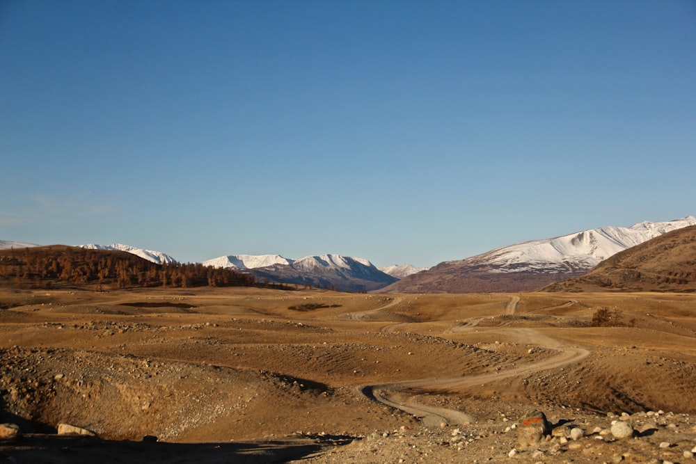 brown and white mountains under blue sky during daytime