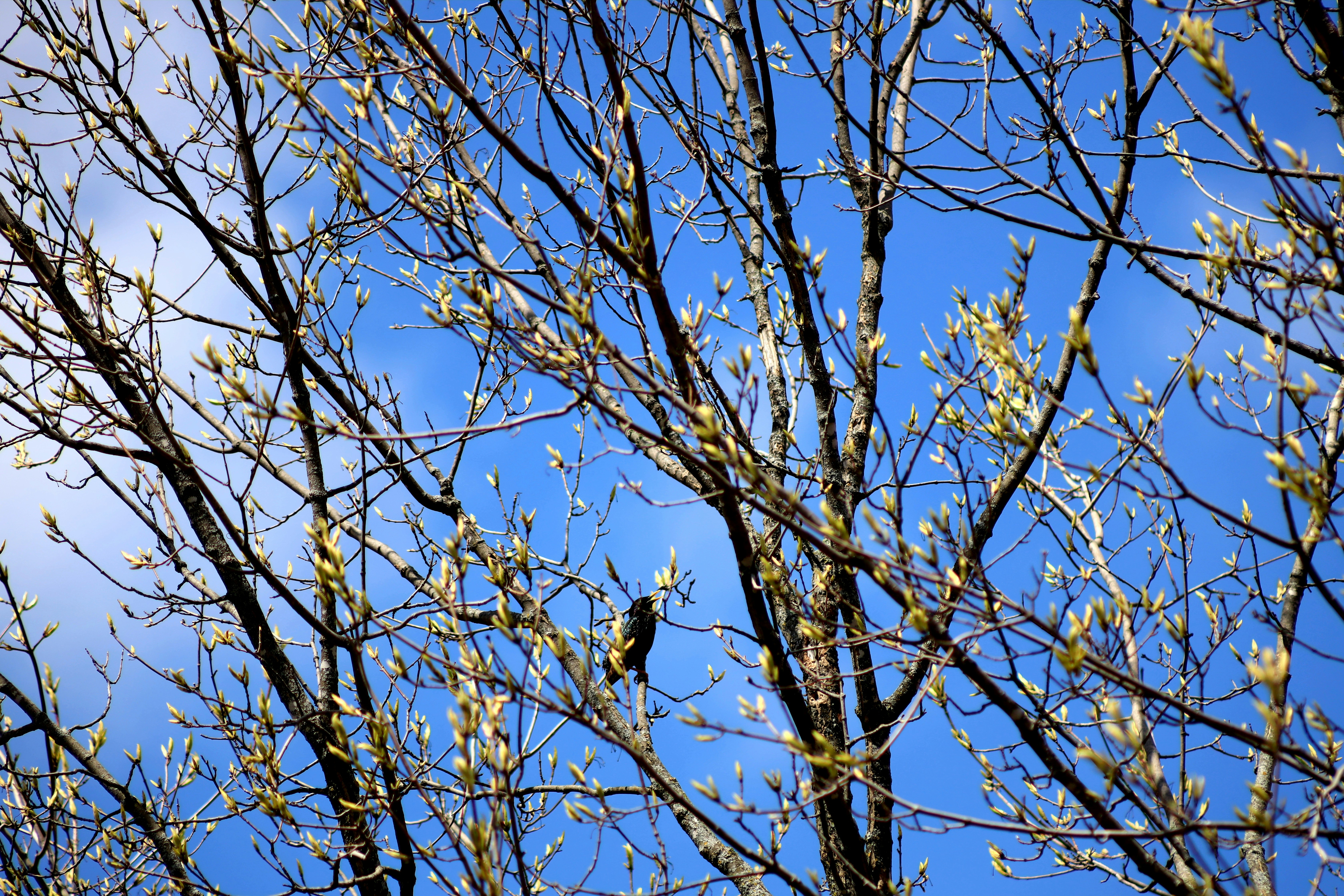 Photo by richardworks