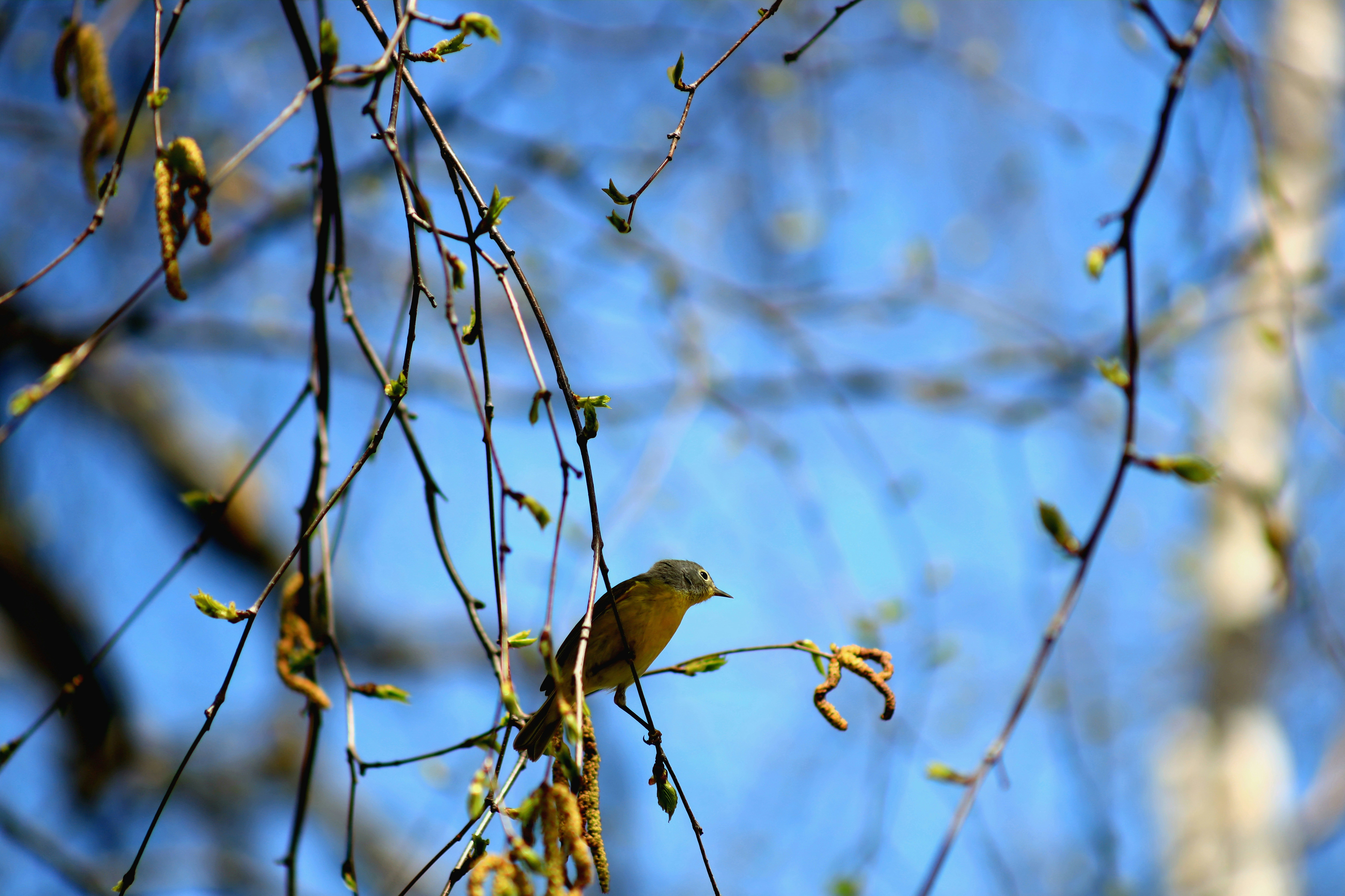 Photo by richardworks