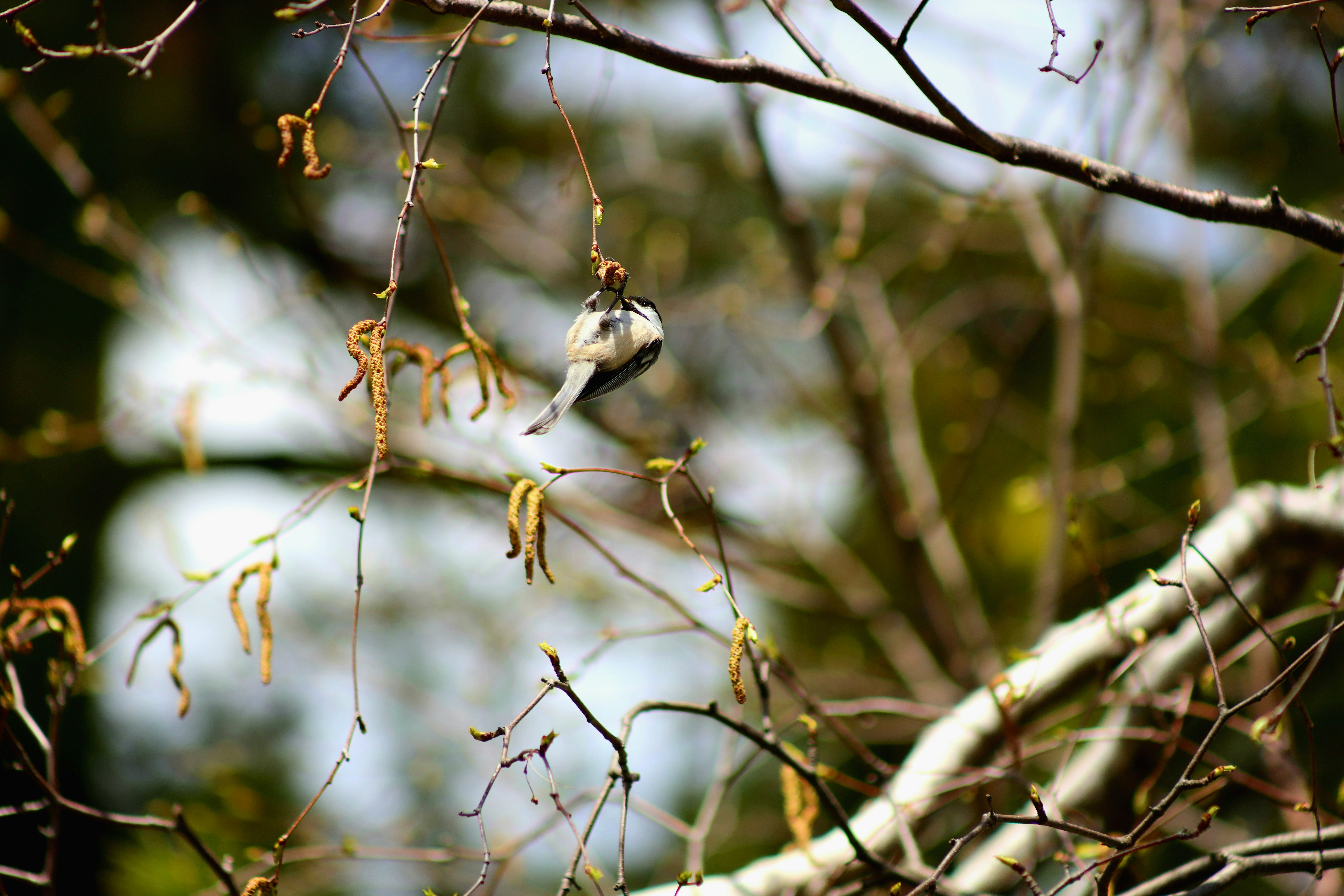 Photo by richardworks