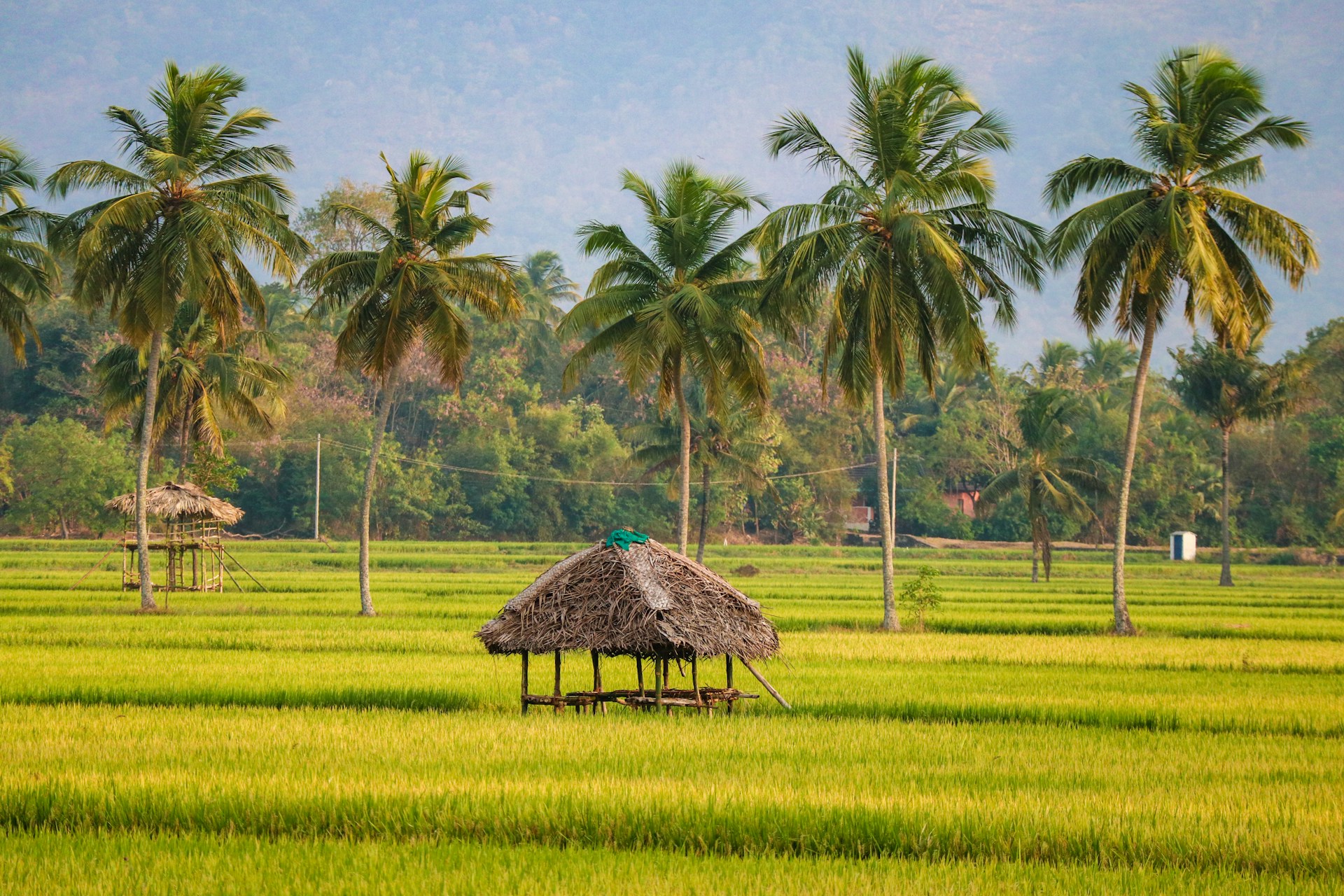 brown nipa hut on green grass field during daytime