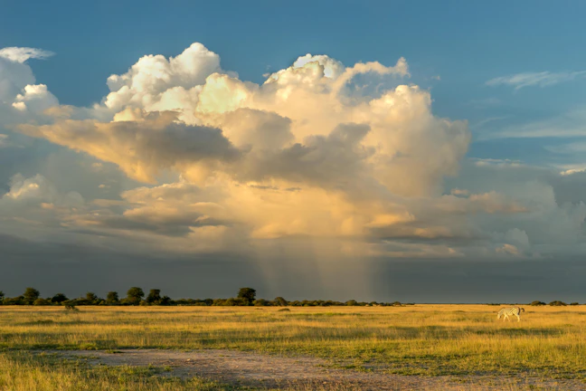 17-Day Botswana Budget Backpacking Guide