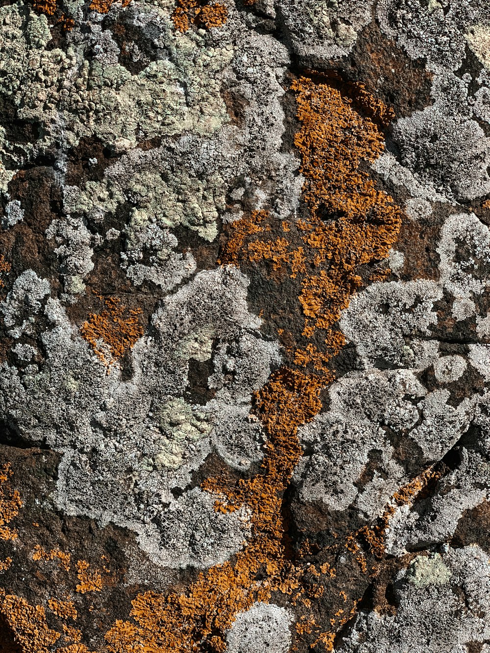 brown and gray rock formation