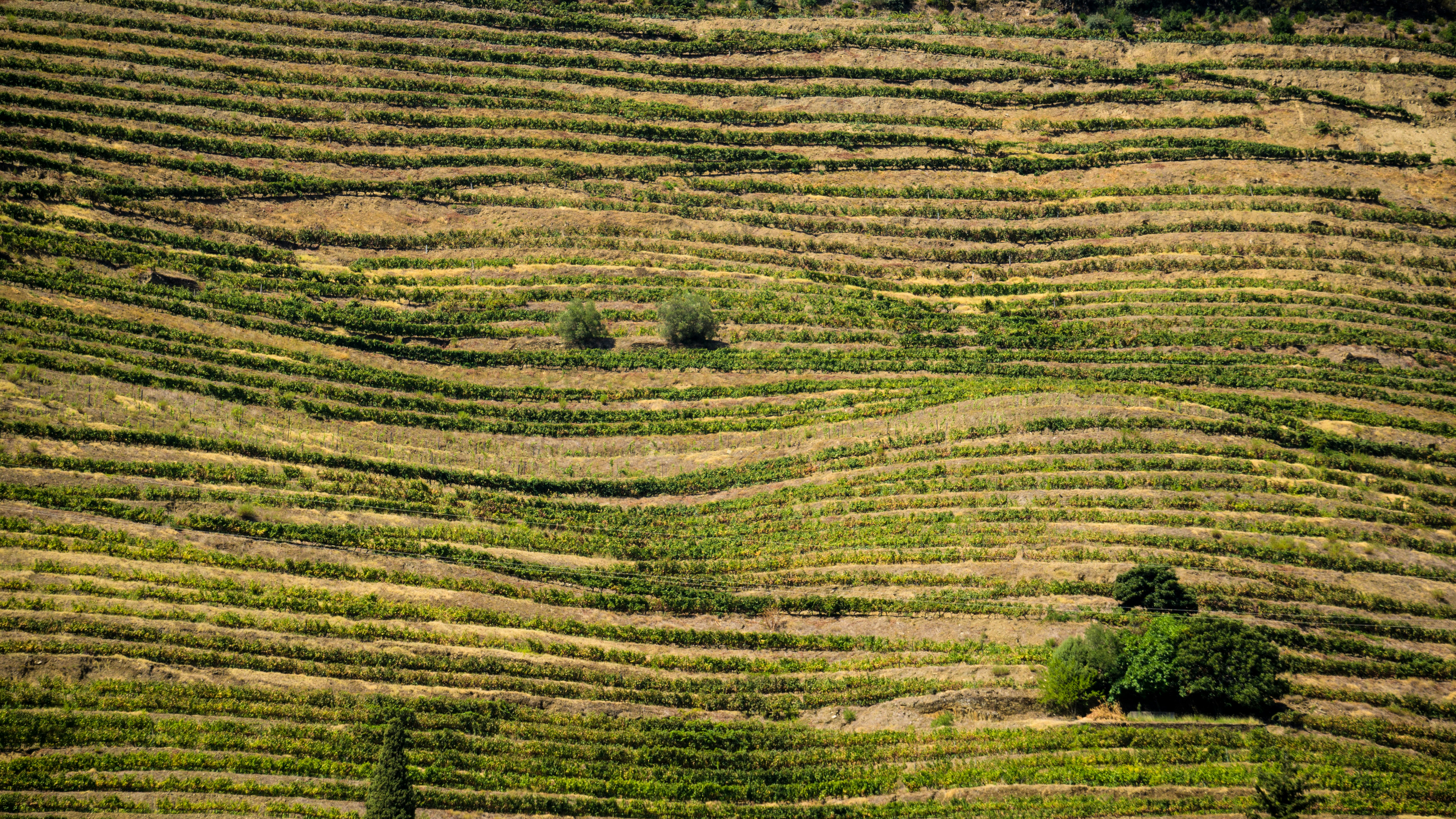 Photo by christian_thoeni