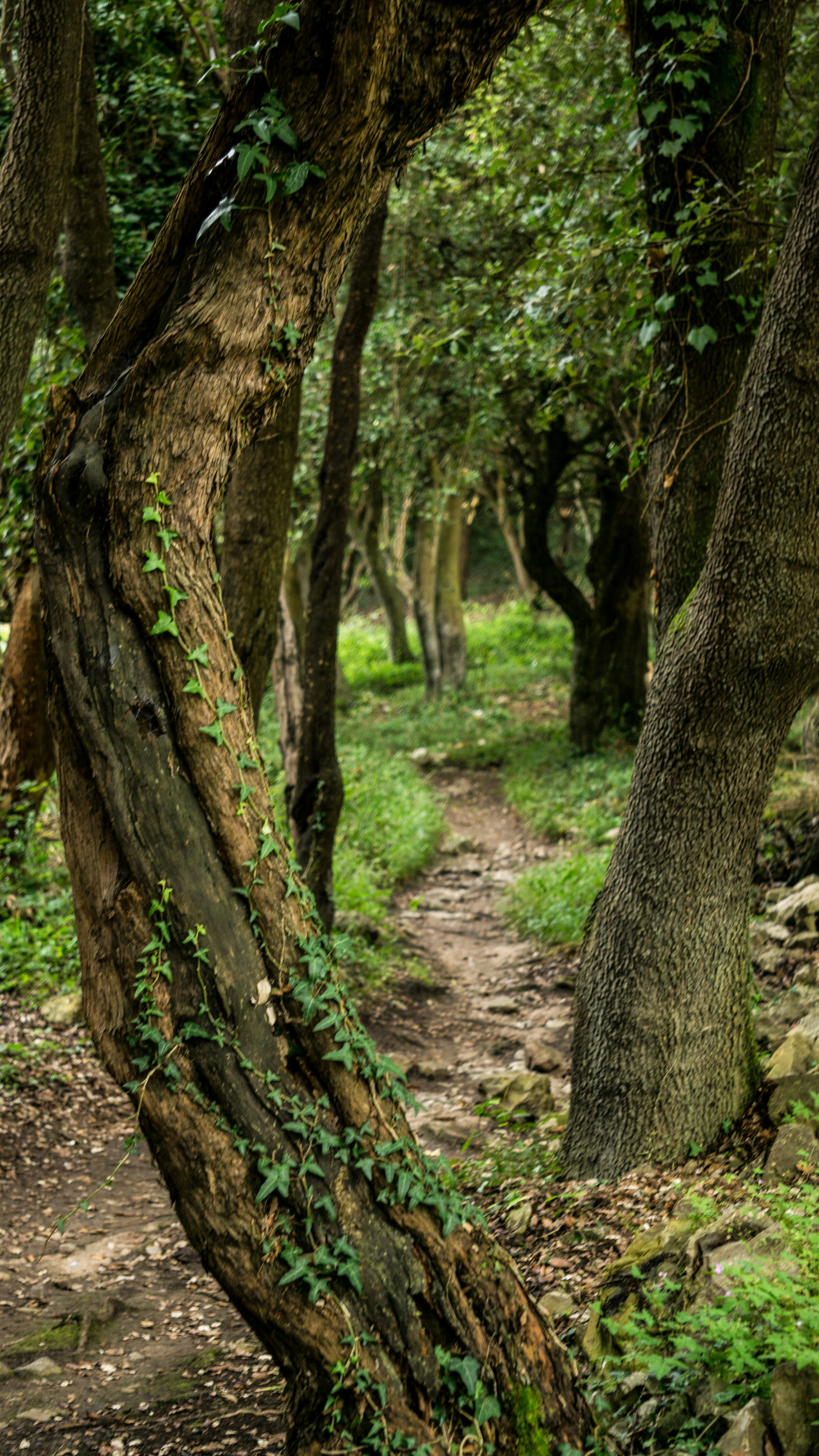 Photo by christian_thoeni