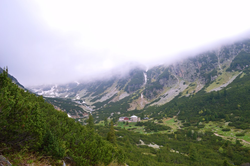 a view of a valley with a mountain in the background