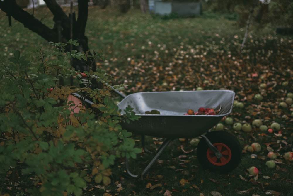 brown and black wheelbarrow on green grass