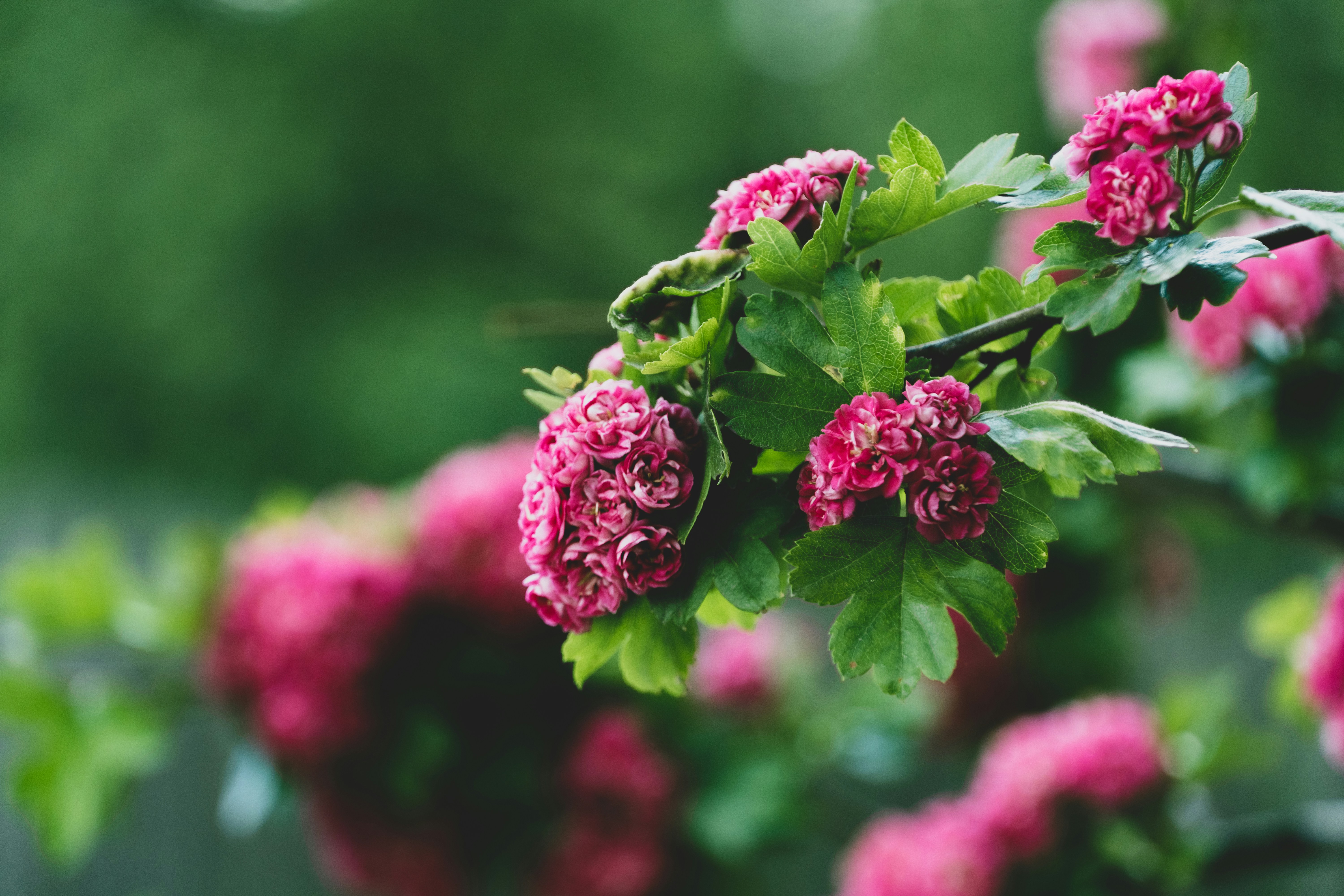 Photo by love_evgene