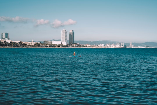 people swimming on sea near city buildings during daytime in La Barceloneta Spain