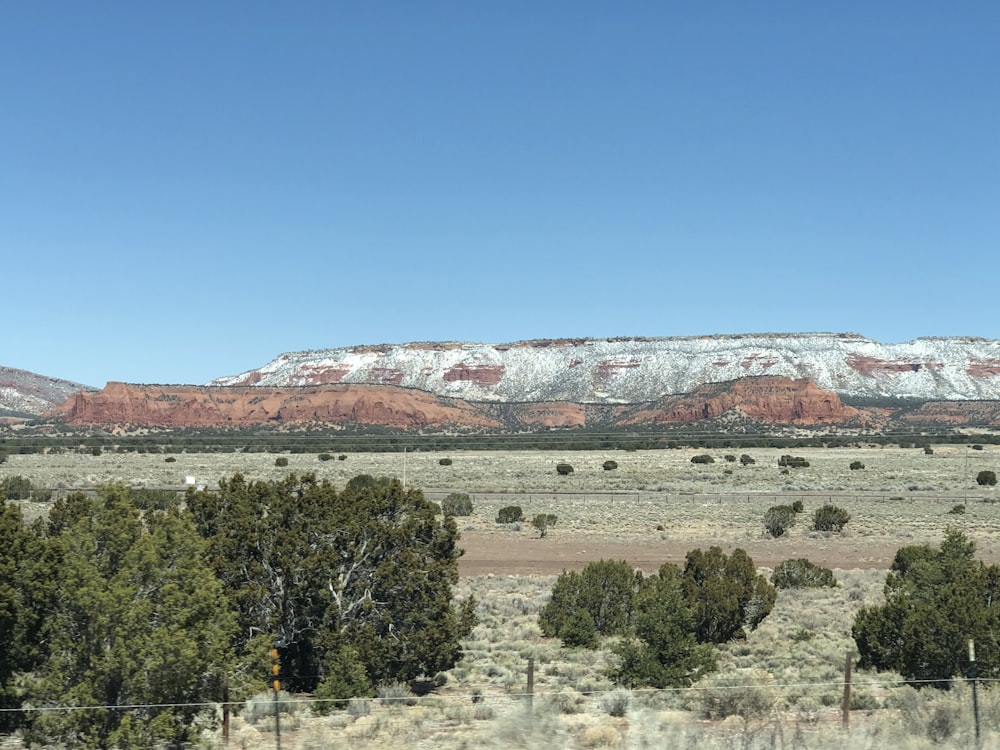 green trees near brown mountain under blue sky during daytime