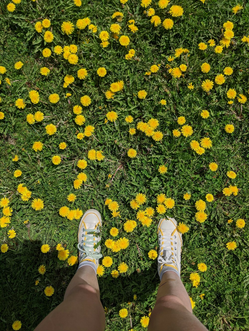 person in white sneakers standing on yellow leaves