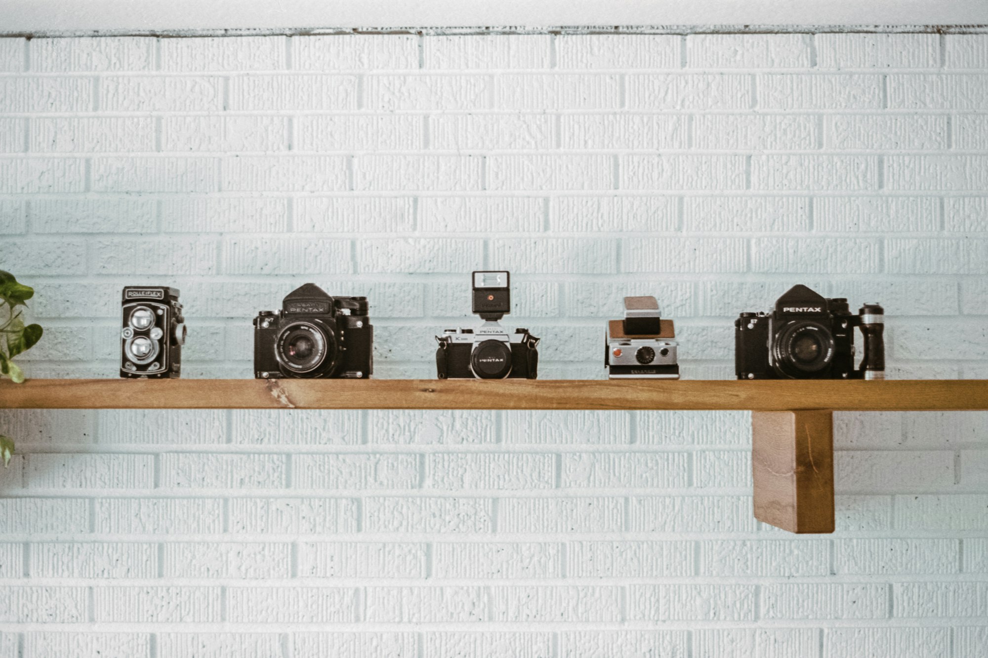 Just a few film cameras,
shot on film. Kodak Gold 200