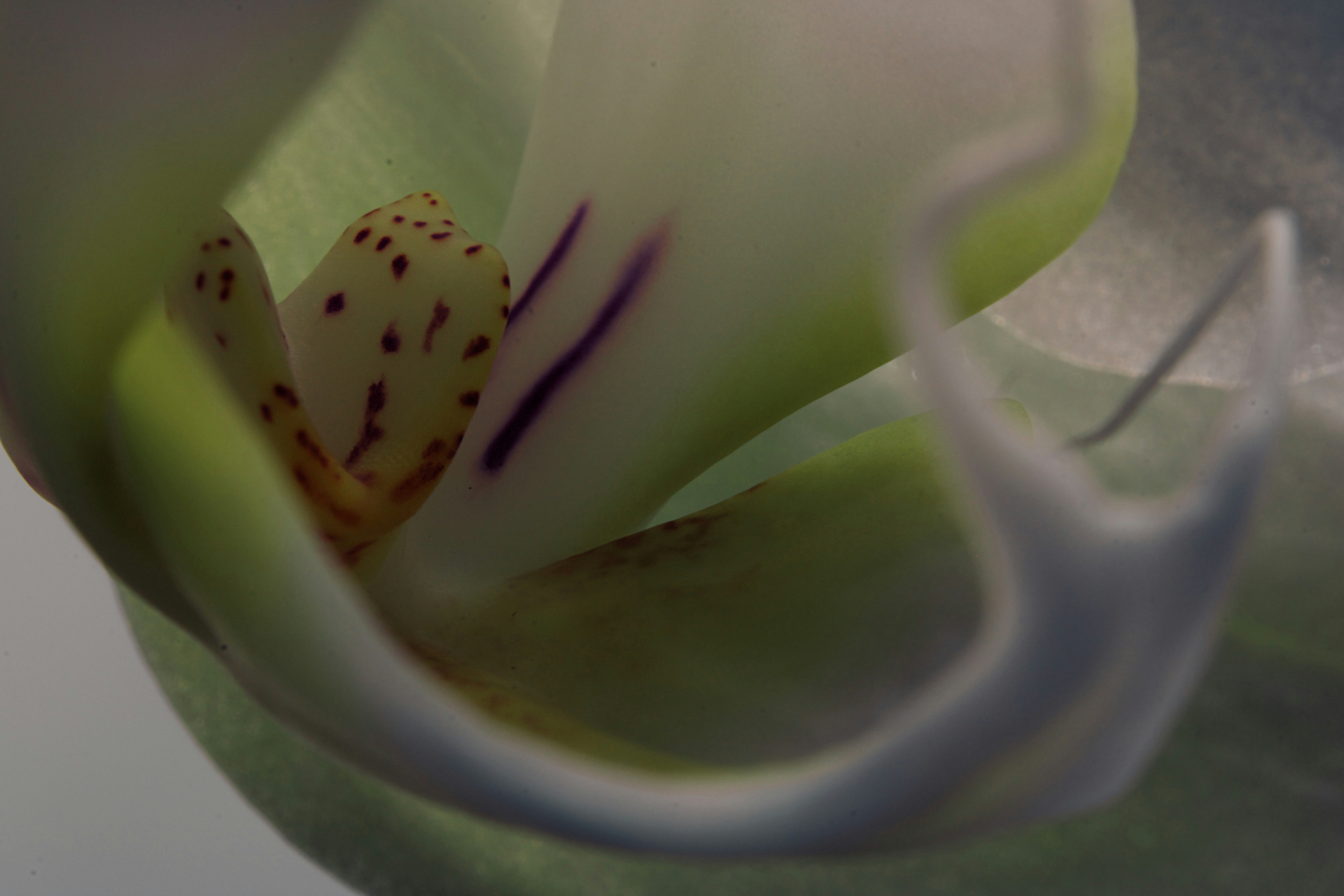 Photo by picsbyjameslee