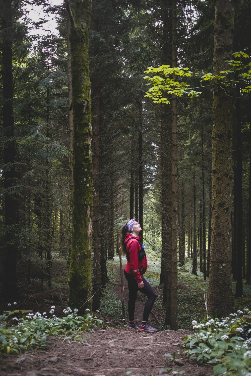 woman in red jacket and black pants walking on forest during daytime