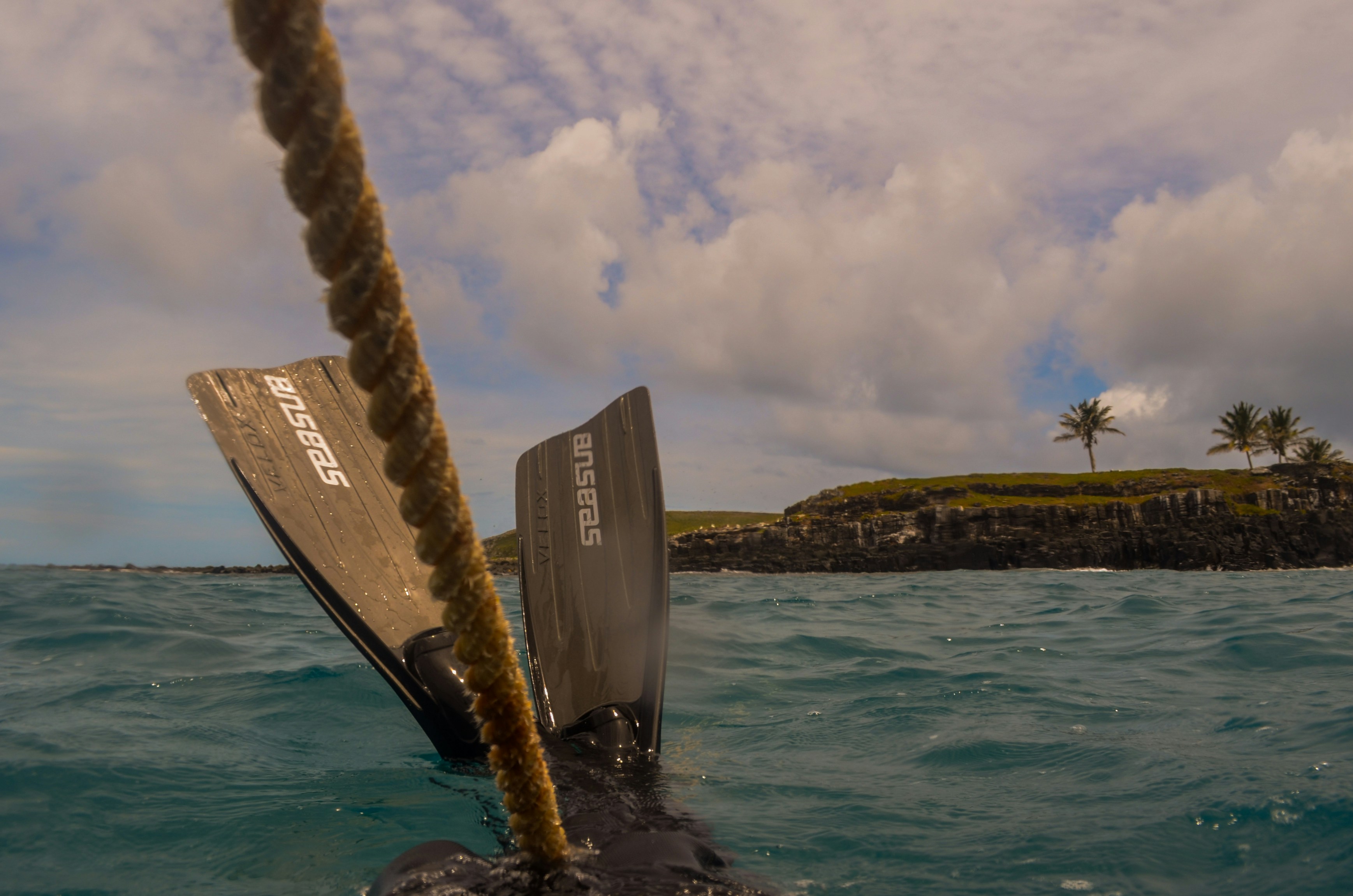 Snorkelers observing marine life in Maui