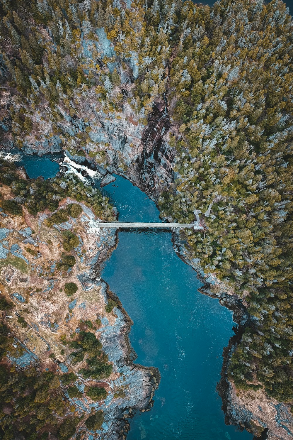 aerial view of river between trees