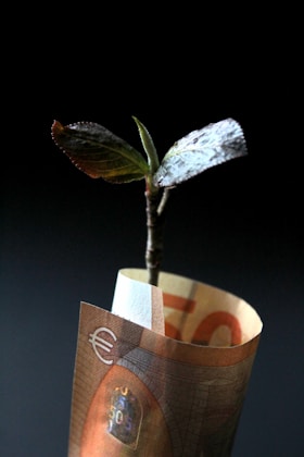 Fixed fee tax accountants for Indian businesses