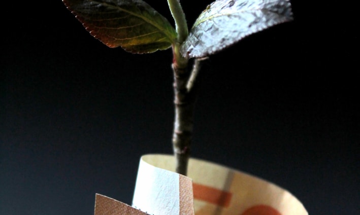 brown and white paper bag