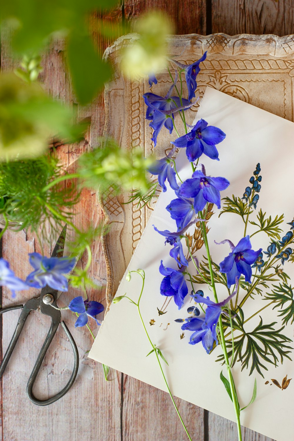 purple flowers on white paper