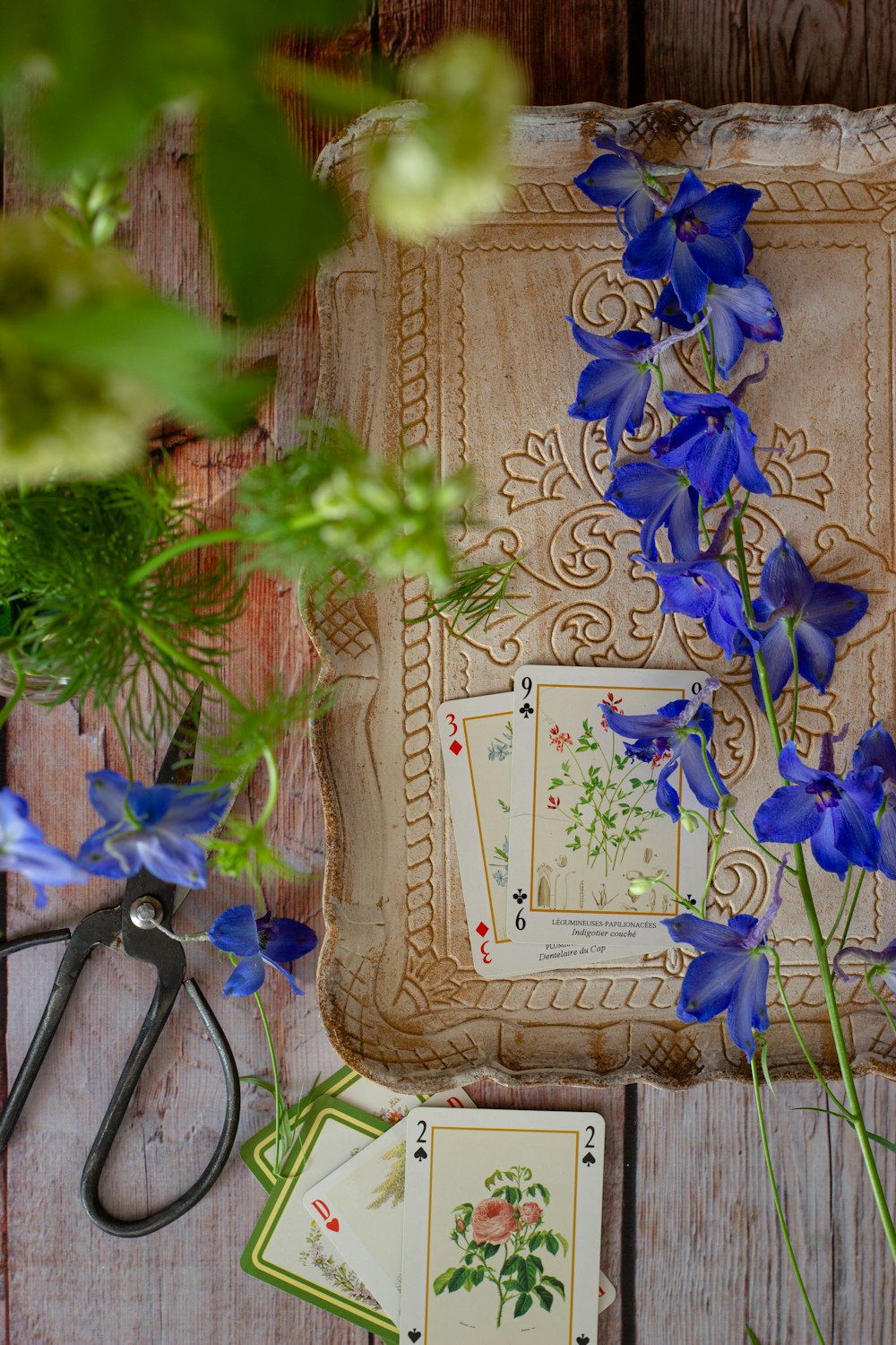 flores azules sobre plato de cerámica blanca y verde