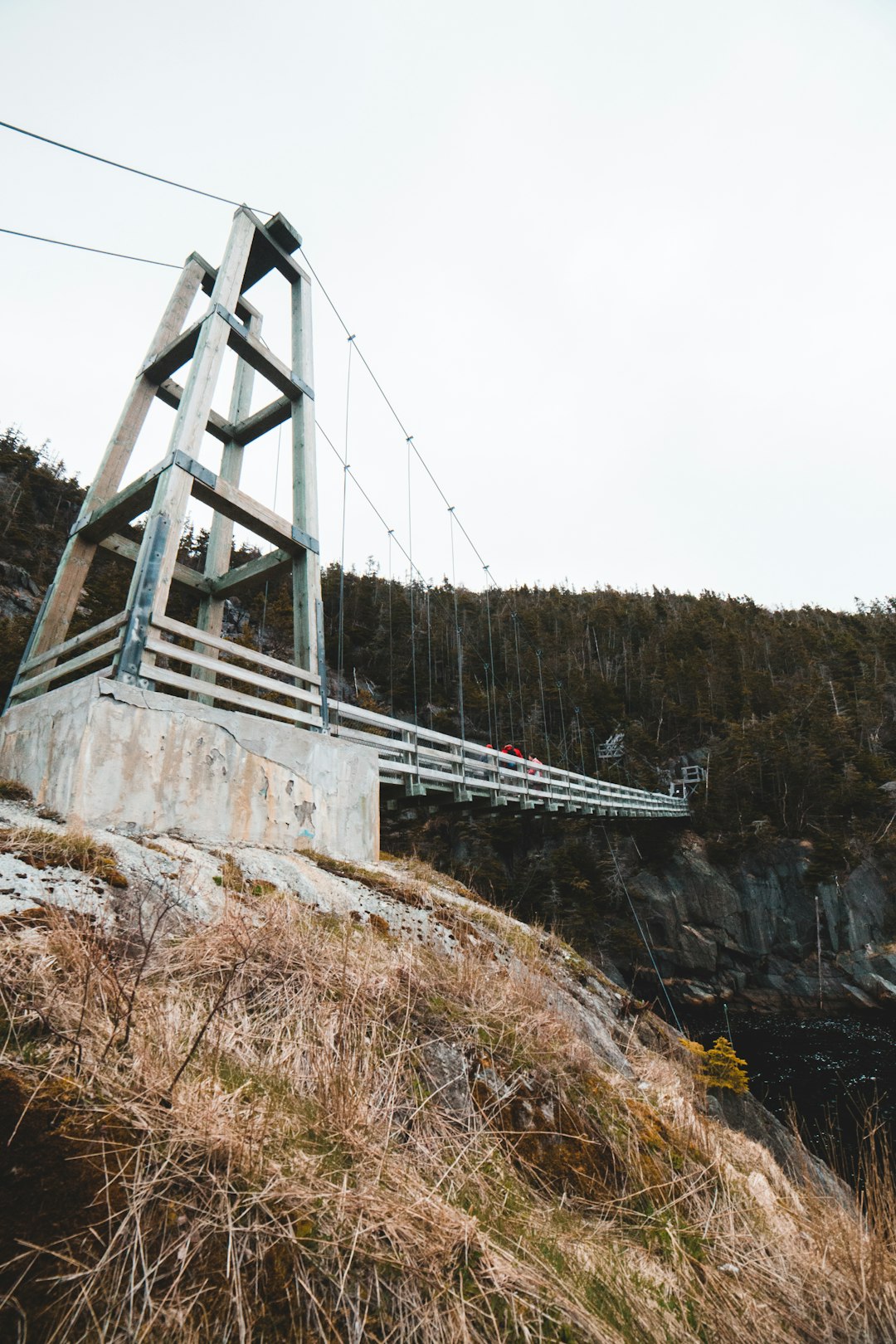 white wooden bridge over river