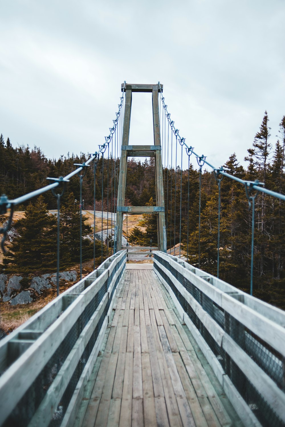 brown wooden bridge over river