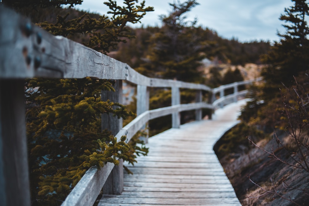 brown wooden bridge over river